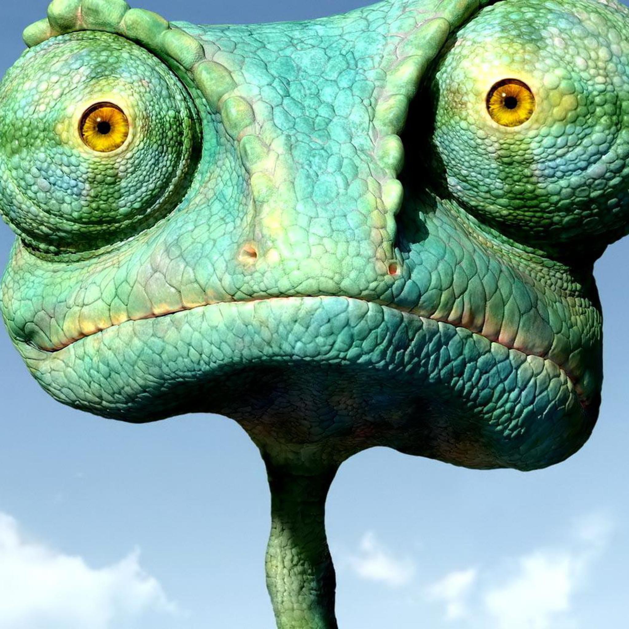 agrility Lizenz 2024